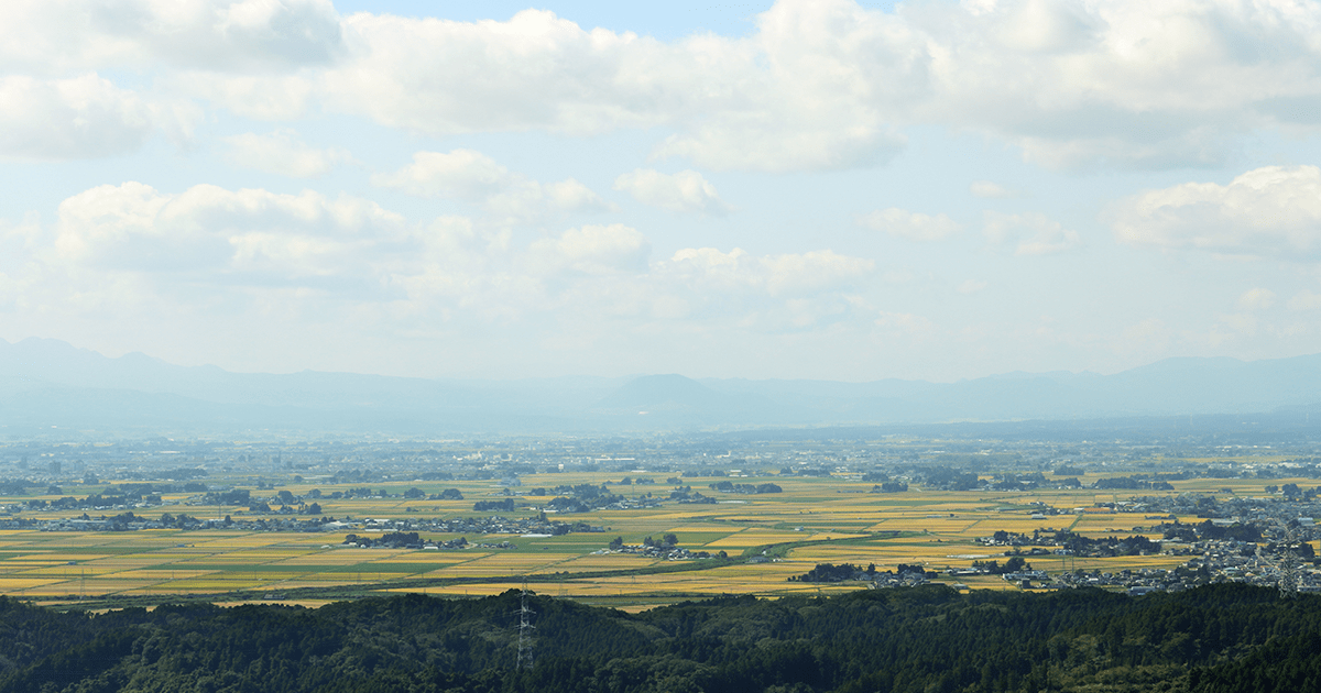 大崎耕土について｜大崎耕土『ささ結』宮城県産